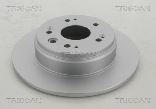 Bromsskiva bak, coated från TRISCAN