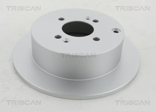 Bromsskiva bak, coated från TRISCAN