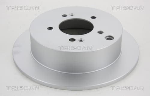 Bromsskiva bak, coated från TRISCAN