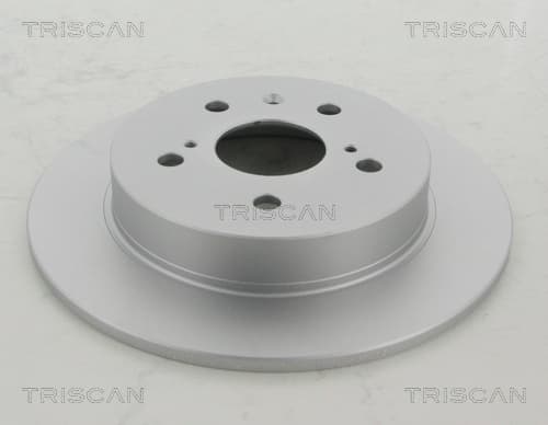 Bromsskiva bak, coated från TRISCAN