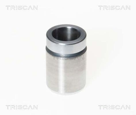 Kolv, bromsok från TRISCAN