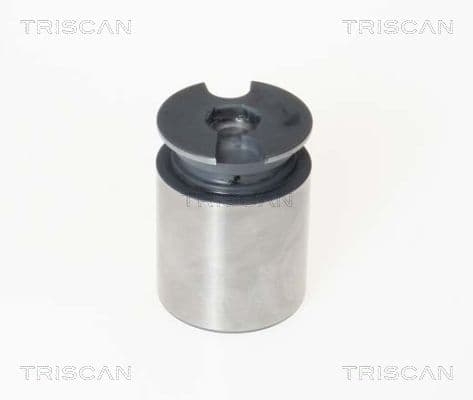 Kolv, bromsok från TRISCAN