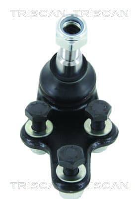 Spindelled nedre