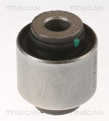 Bussning från TRISCAN