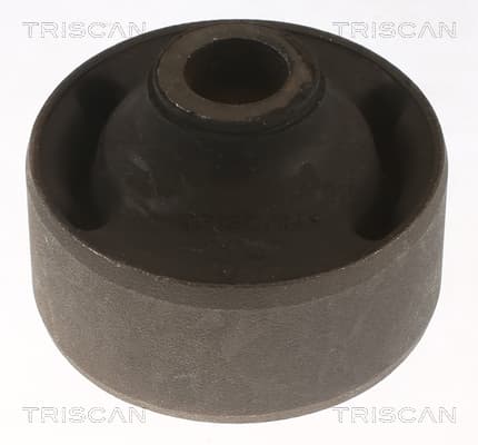 Bussning från TRISCAN
