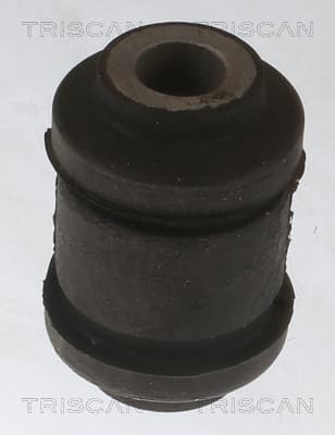 Bussning från TRISCAN