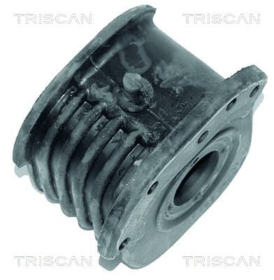 Bussning från TRISCAN