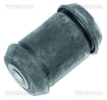 Bussning från TRISCAN