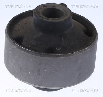 Bussning från TRISCAN