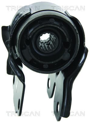 Bussning från TRISCAN