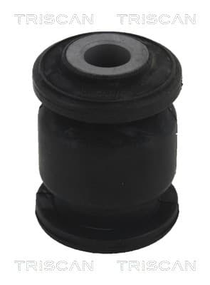 Bussning från TRISCAN