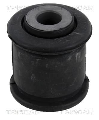 Bussning från TRISCAN