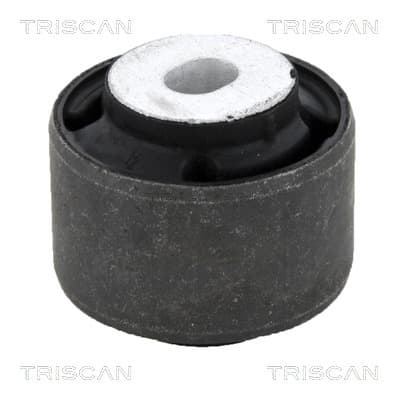 Bussning från TRISCAN