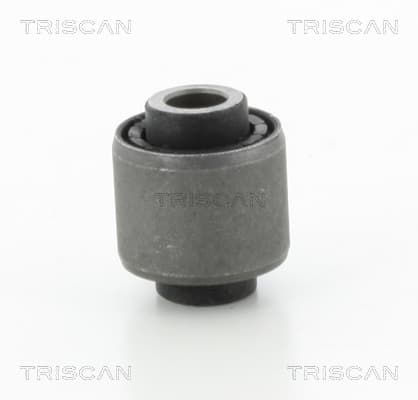 Bussning från TRISCAN