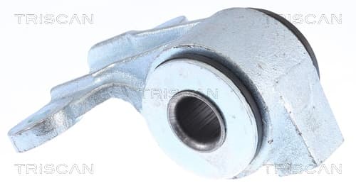 Bussning från TRISCAN