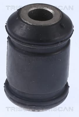 Bussning från TRISCAN