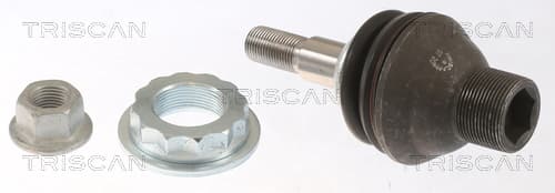 Spindelled nedre