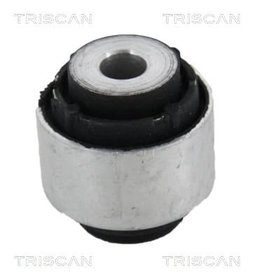 Bussning från TRISCAN