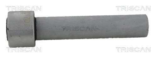 Bussning från TRISCAN