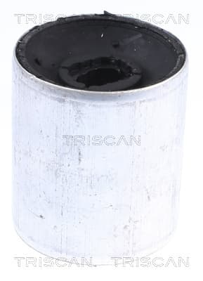 Bussning från TRISCAN
