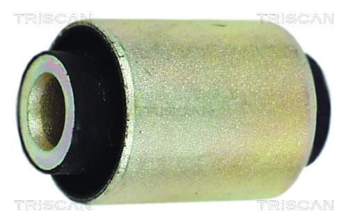 Bussning från TRISCAN