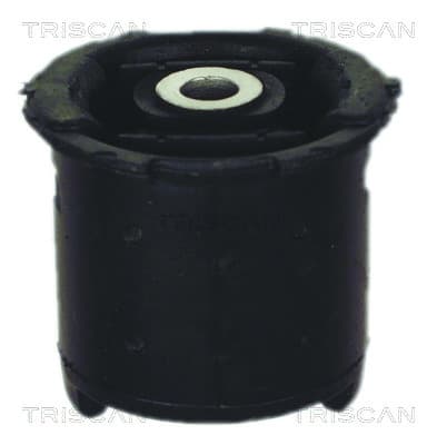 Bussning bakaxel — Bakaxel från TRISCAN