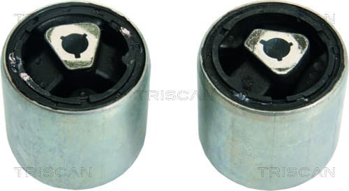 Bussning från TRISCAN