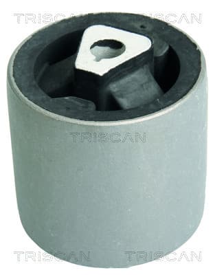 Bussning från TRISCAN