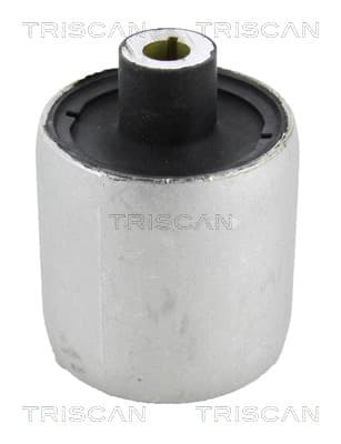 Bussning från TRISCAN