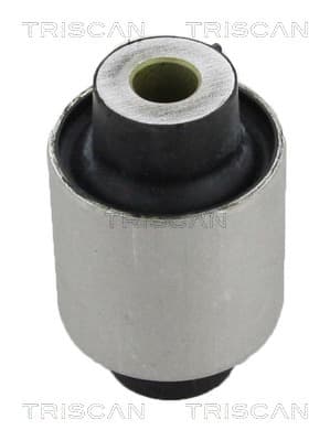 Bussning från TRISCAN