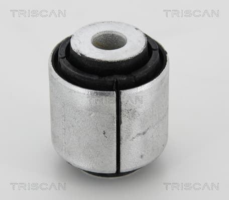 Bussning från TRISCAN