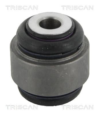 Bussning från TRISCAN