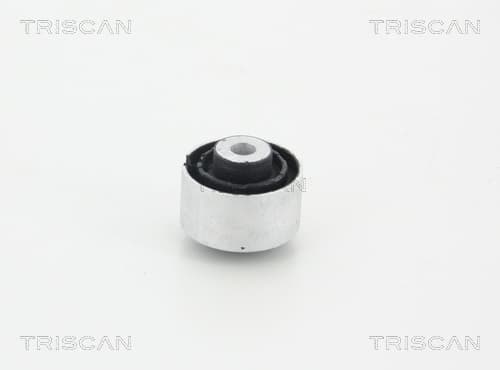 Bussning från TRISCAN