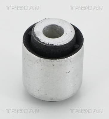 Bussning från TRISCAN