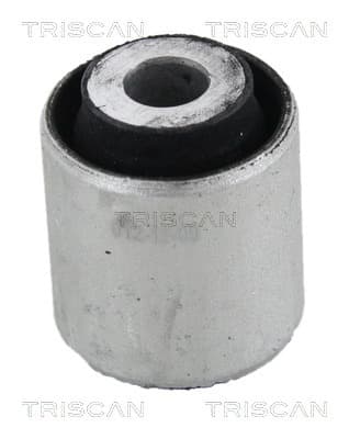 Bussning från TRISCAN