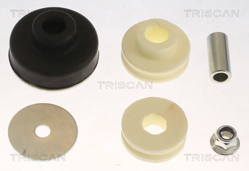 Fjäderbenslager bakre — Bakaxel från TRISCAN