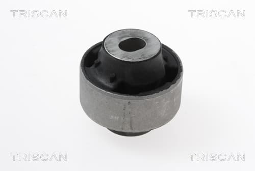 Bussning från TRISCAN