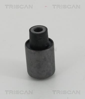 Bussning från TRISCAN