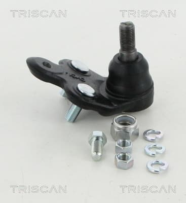 Spindelled nedre — Nedre från TRISCAN