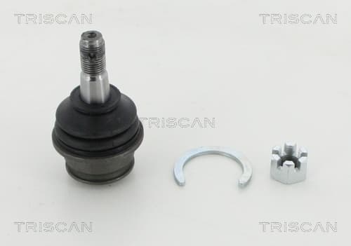 Spindelled nedre från TRISCAN
