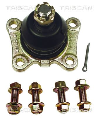 Spindelled nedre