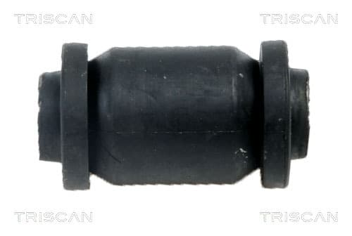 Bussning från TRISCAN