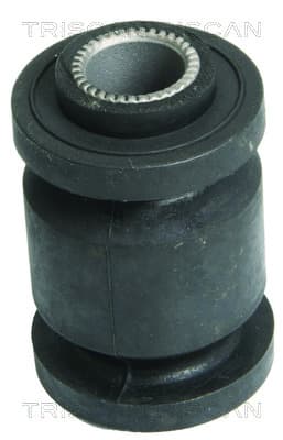 Bussning från TRISCAN