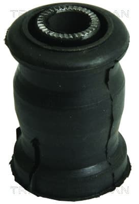 Bussning från TRISCAN