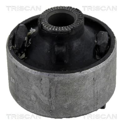 Bussning från TRISCAN