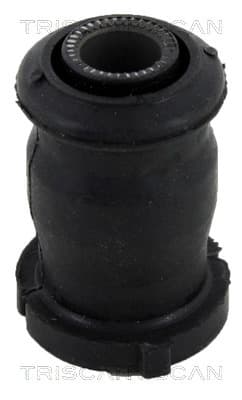 Bussning från TRISCAN