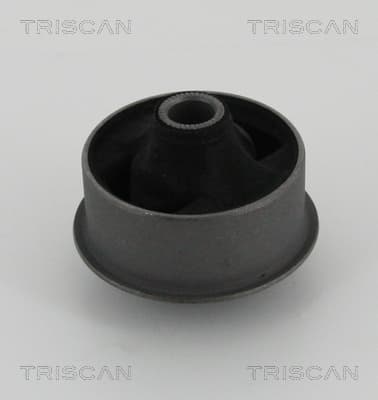 Bussning från TRISCAN