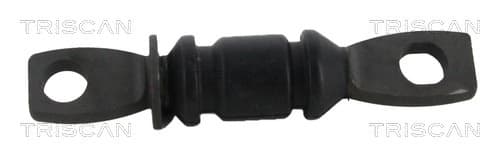 Bussning från TRISCAN