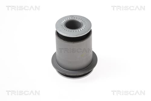 Bussning från TRISCAN