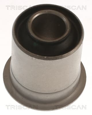 Bussning från TRISCAN